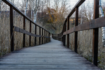 wooden bridge in autumn