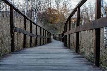 Fototapeta premium wooden bridge in autumn