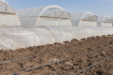 many high and low long greenhouses, in the foreground drip irrigation hoses