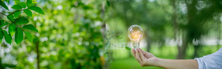 Light bulb Energy saving green nature background
