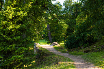 Fototapeta na wymiar Sunny path and stone bridge in picturesque forest