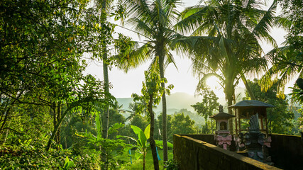 tropical hut in the jungle