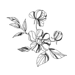 Bouquet of flowers. Linear drawing, vector, tattoo.