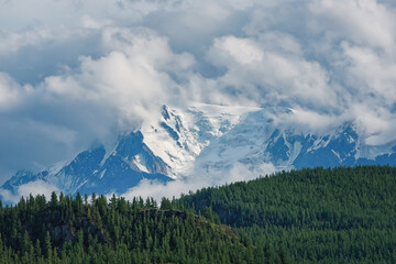 Mountain range Aktru in the Altai mountains. Glaciers start rivers. View of the snow-white mountain through the taiga mountains