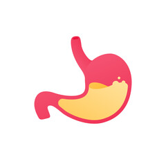 Human organ collection. Digestion system. Vector flat anatomical icon illustration. Red stomach with acid liquid isolated on white background. Health care sign. Gastric and reflux symbol.