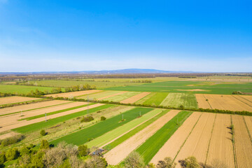 Fototapeta na wymiar Rural landscape in Lonjsko polje, Posavina, Croatia, aerial view of agriculture fields in spring