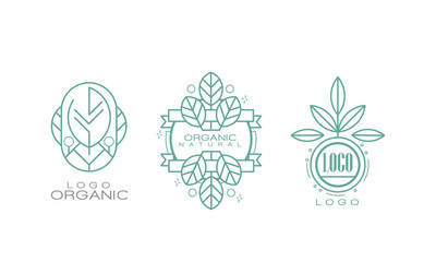 Organic Logo Design with Linear Leaves for Natural Products Vector Set