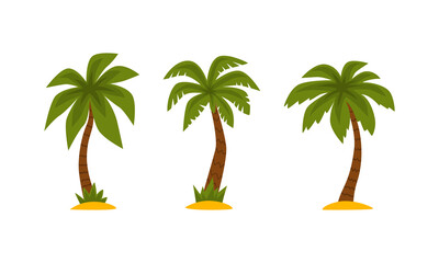 Palm Tree as Tropical Plant with Trunk Rested on Sand Vector Set