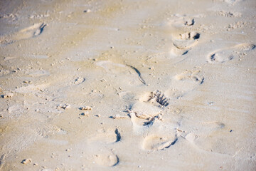 Texture background Footprints of human feet on the sand near the water on the beach