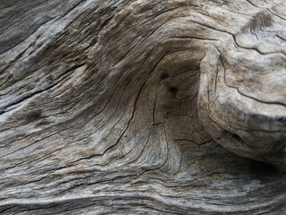 Wood background texture close up. Damaged Wood close up.