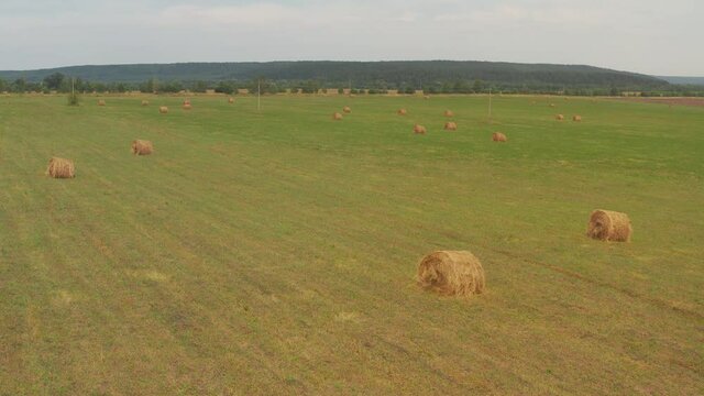 Stockpiling hay for the winter. Agriculture farm field haystacks landscape. Haystacks harvest on agriculture farm fields. Farm field haystack agriculture landscape. Haystack harvest landscape.