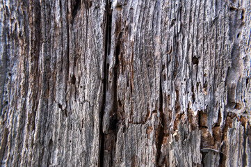 Old wooden texture background