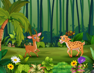 Happy deers playing in the jungle