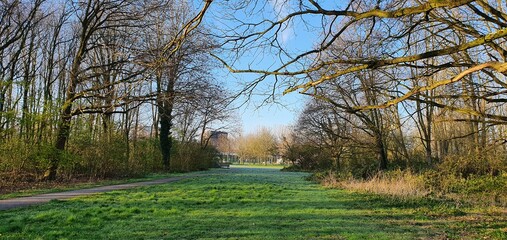 Obraz premium Egret bird on an early springtime morning