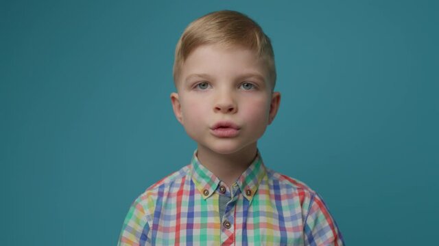 Amazed kid holding head with hands on blue background. Preschool boy showing shock and wow emotion looking at camera.