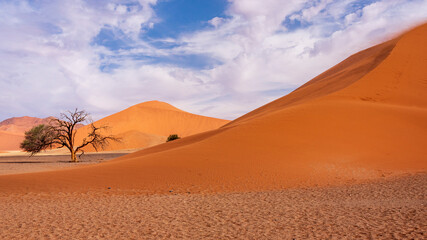 Fototapeta na wymiar sand dunes in the desert