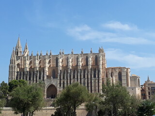 Obraz premium Cathédrale de Palma 