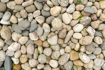 a lot of round smooth stones. natural background