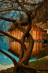 Old boathouses and bare branches on the mountain lake