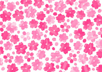 ピンクと赤の桜の壁紙