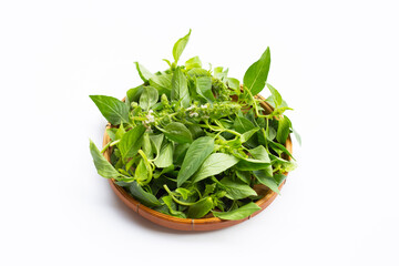 Hairy Basil in bamboo basket on white background.