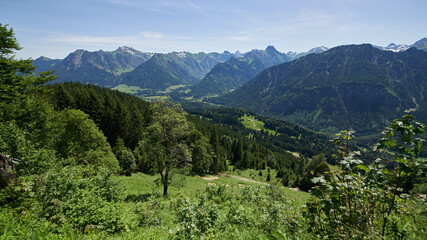 Blick von der S&ouml;lleralpe &uuml;ber das sommerliche Stillachtal auf die Gipfel der Allg&auml;uer Alpen