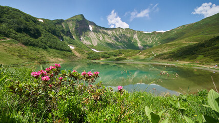 Schlappoldsee zur Zeit der Bl&uuml;te der Alpenrosen