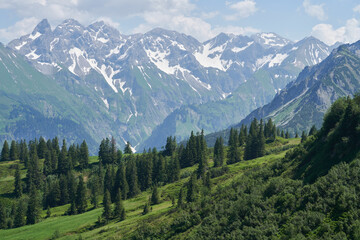 Blick von der Schlappold Alpe über sommerliche Almen auf die Berggipfel des Allgäuer Alpenhauptkamms