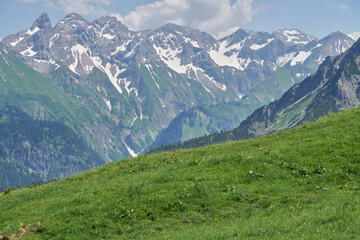 Blick von der Schlappold Alpe über sommerliche Almen auf die Berggipfel des Allgäuer Alpenhauptkamms