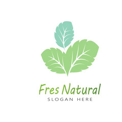 Leaf icon Vector Illustration design Logo template