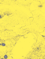 Abstract art background yellow and gray fluid paint hand drawn illustration