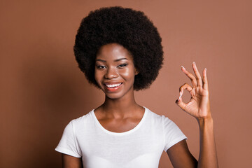 Photo of positive pretty dark skin person fingers show okey symbol beaming smile isolated on brown color background