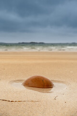 Warm orange color rock in a yellow sand, blue ocean and cloudy sky in the background. West coast of Ireland. Selective focus. Simple nature background