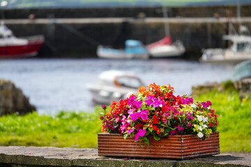 Red wooden flowerbed with colorful flowers of different types in a public garden. Boats out of focus in the background. Summer floral decoration in a park. Beautiful colors of nature concept