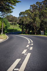 double lane in a mountain road between the forest. road background