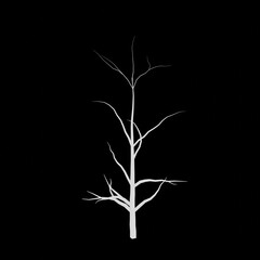 White tree 3d rendering. Tree picture. Black background.