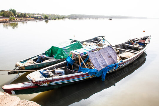 Wooden Fishing Pirogues on the River Gambia