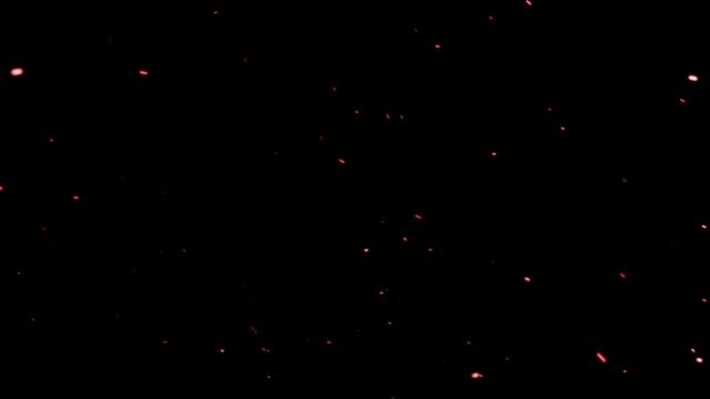 パーティクル