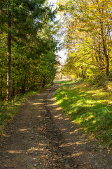 Path in autumn forest in polish moutains.
