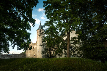 Fototapeta na wymiar fantasy view of medieval casle in Estonia