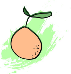 illustration of a pear