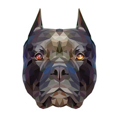 Pit bull polygonal portrait