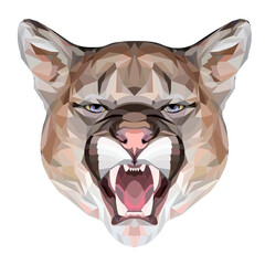 Puma polygonal portrait