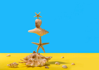 Image with seashells.