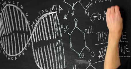 Dark black chalk board with man drawing dna molecule - Powered by Adobe