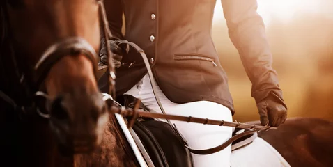 Poster A rider in a black suit and leather gloves sits on a bay horse, holding the bridle rein in his hands on a sunny day. Equestrian sports. Horse riding. ©  Valeri Vatel