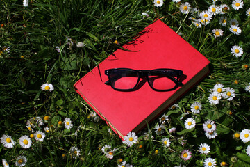 Meadow of daisies with closed book with red cover and glasses