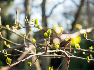 cold spring day