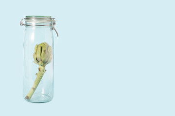 Abstract concept of one fresh organic artichoke in big glass jar a pastel blue background. Creative copy space