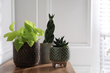 Beautiful potted houseplants on wooden table indoors. Space for text